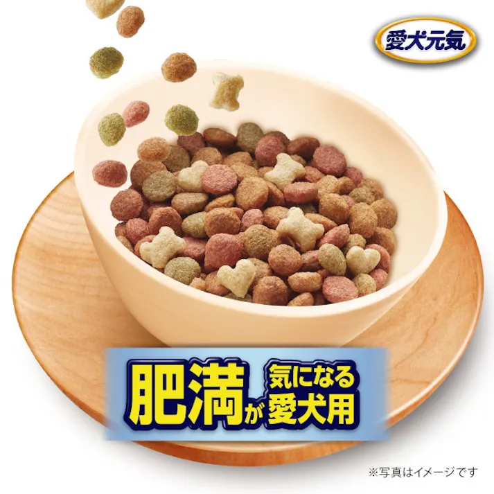 愛犬元気 肥満が気になる愛犬用 ビーフ・ささみ・野菜・小魚入り 6kg