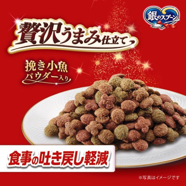 ［値下げ］このこのごはん ドライフード 1キロ✖️3袋 値下げ］このこのごはん ドライフード 1キロ✖️3袋 楽天市場