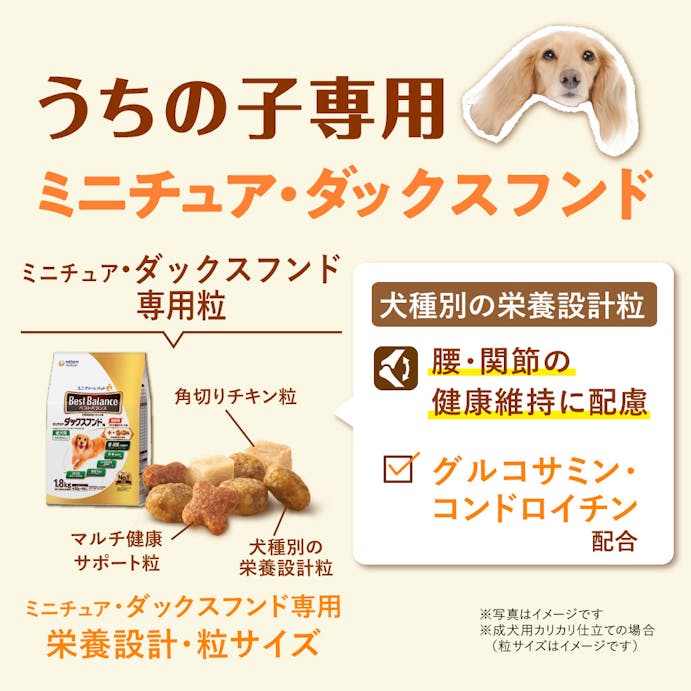 ベストバランス ミニチュア・ダックスフンド用 成犬用 1.8kg