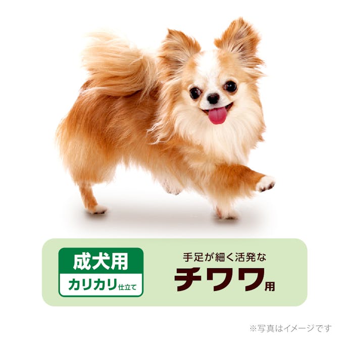ベストバランス チワワ用 成犬用 1.8kg
