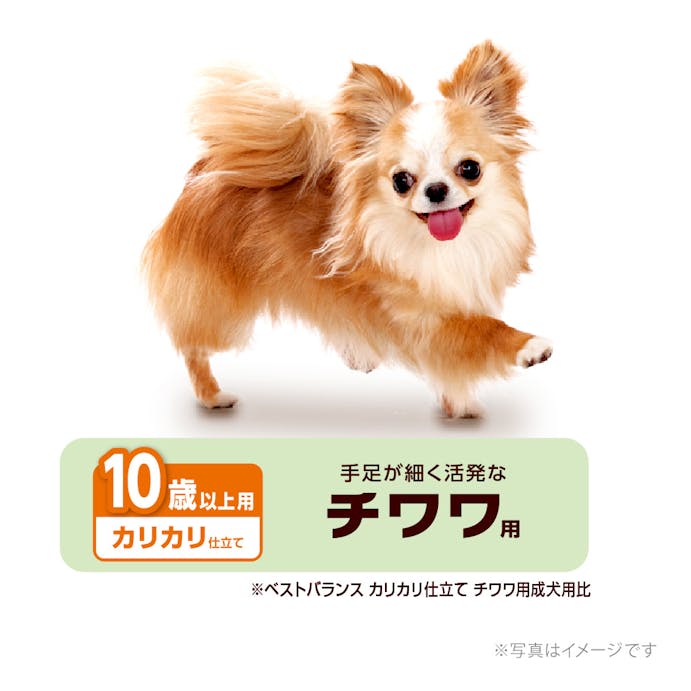 ベストバランス チワワ用 10歳以上用 1.8kg