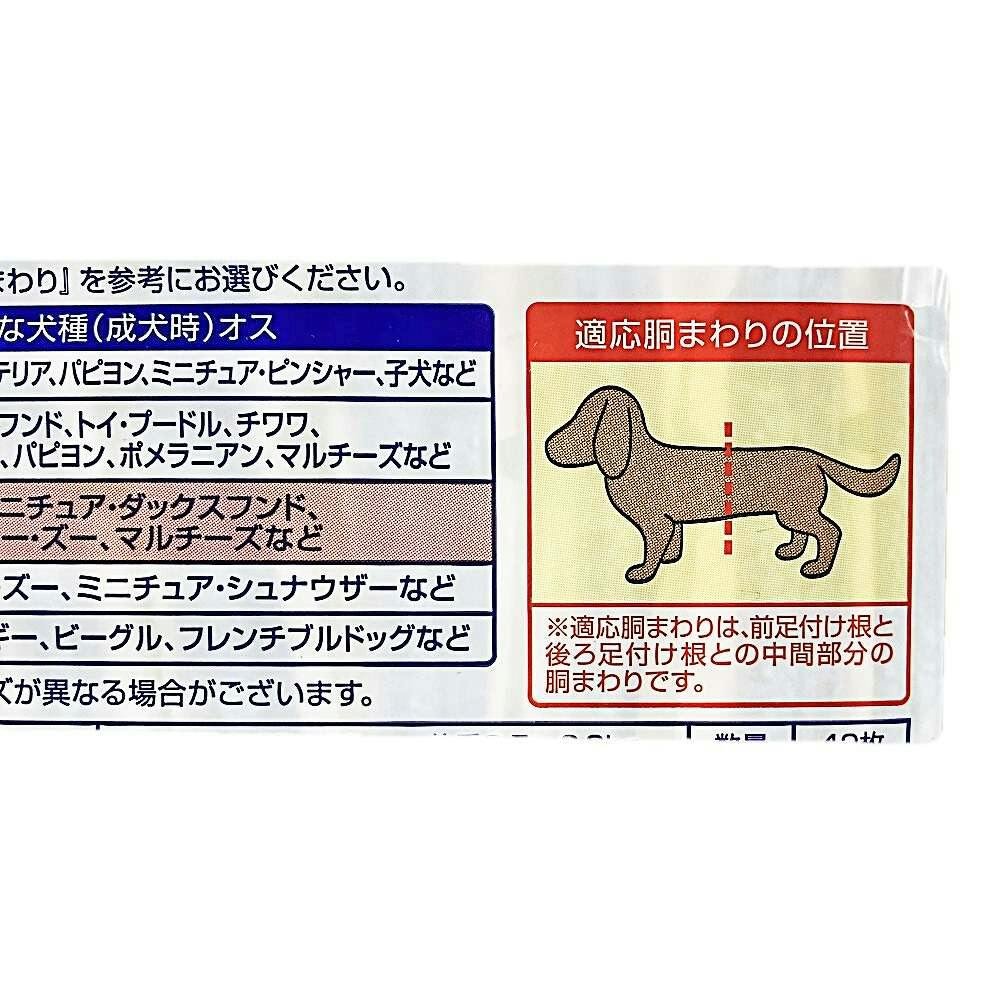 クリアランス売り出し マルチーズ4輪歩行器!リハビリ用!食事補助!犬の