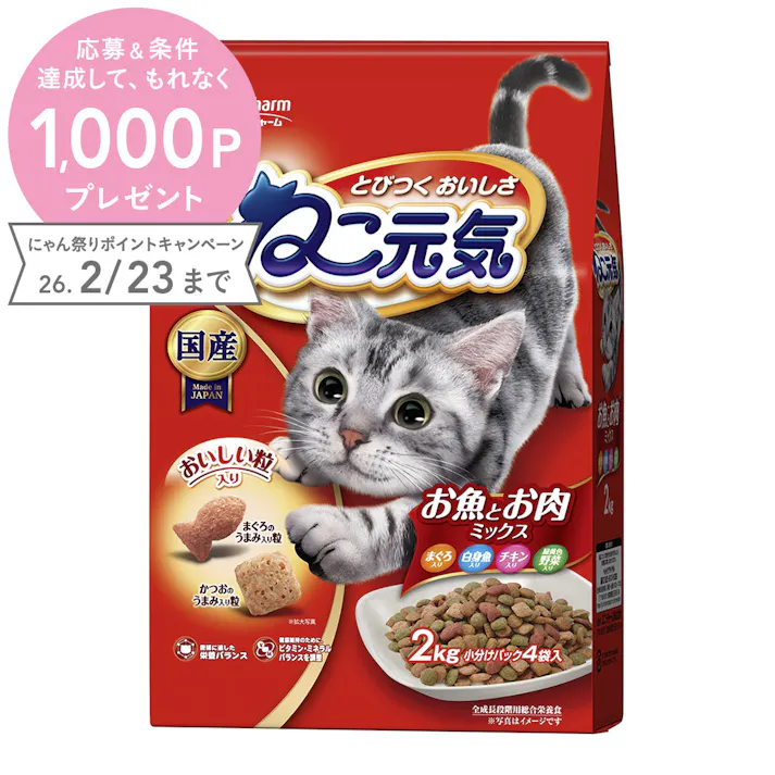 ねこ元気 お魚とお肉ミックス 2kg