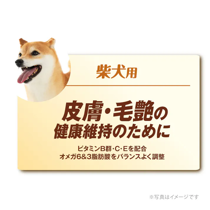 ベストバランス国産鶏ささみパウチ柴犬用60g
