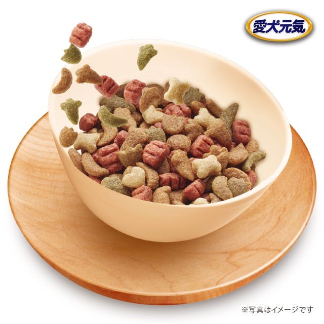ピッキーノーモア全犬種幼犬用10.8kg ビルジャック BIL-JAC