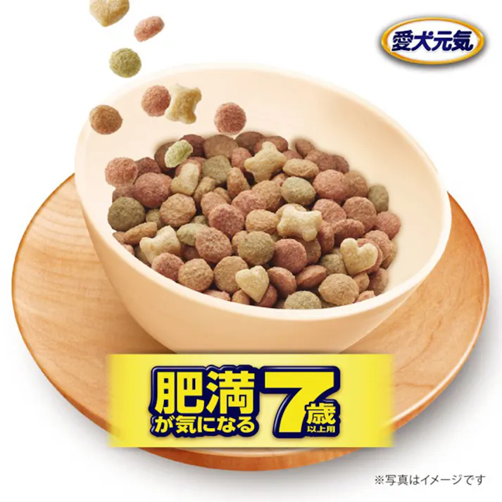 愛犬元気 肥満が気になる7歳以上用 ささみ・ビーフ・野菜・小魚入り 6kg