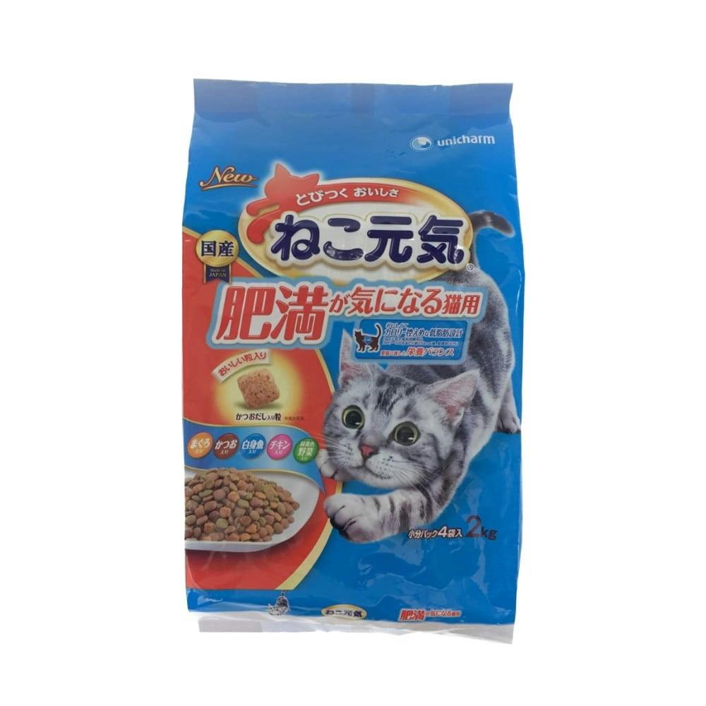 のれん ねこ 3匹 送料無料 新品 - のれん