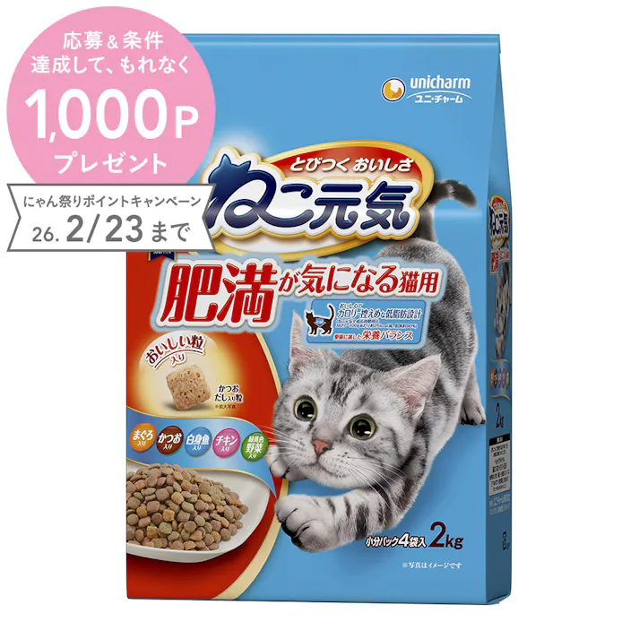 ねこ元気 肥満が気になる猫用 2kg
