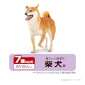 ベストバランス 柴犬用 7歳以上用 カリカリ仕立て 4kg