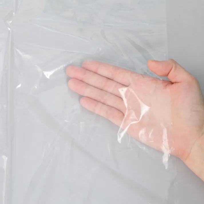 【CAINZ-DASH】ジャパックス メタロセン配合ポリ袋 45L 透明 10枚 厚み0.020mm TM48【別送品】