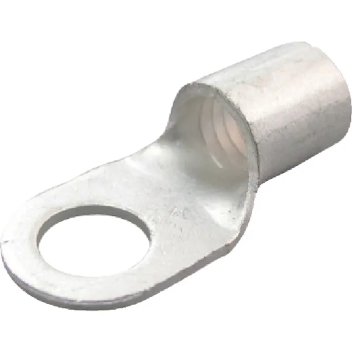 【CAINZ-DASH】ニチフ 裸圧着端子 R形(100P) より線42.42~60.57 外寸22mm スタッド径13mm R 60-12【別送品】