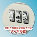 【CAINZ-DASH】アスカ 安心保管ボックス　Ａ５ SB100【別送品】