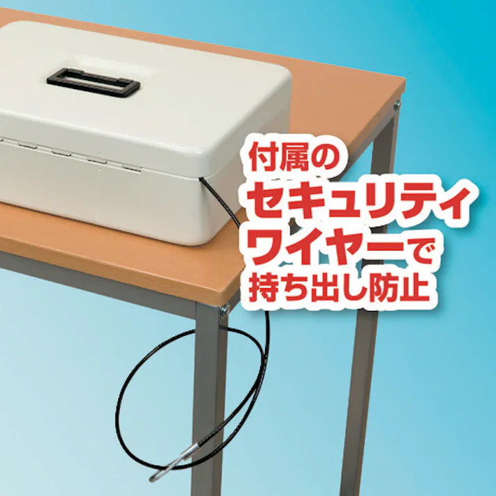 【CAINZ-DASH】アスカ 安心保管ボックス A4 SB200【別送品】