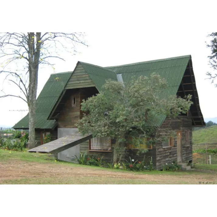 オンデュリン クラシックシート グリーン 200×95cm【SU】