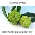 イタリア野菜 ロマネスコ