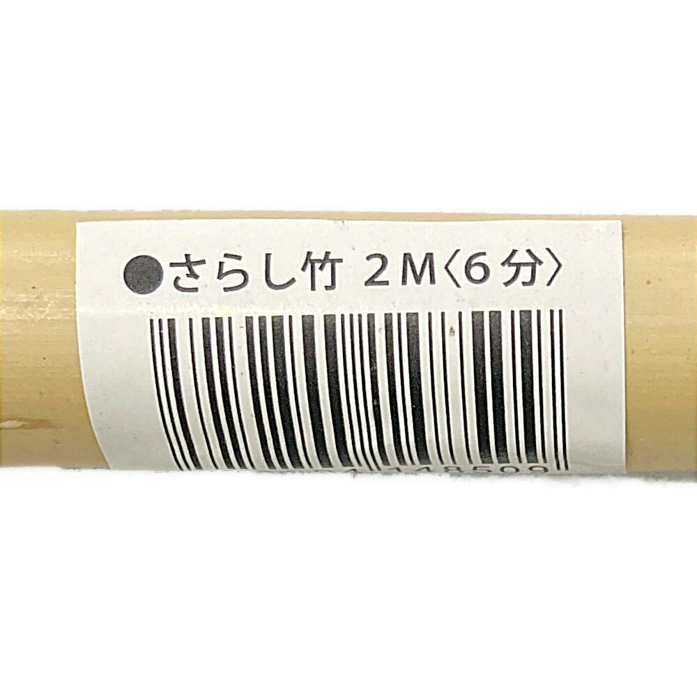 晒竹 大橋今右衛門 白竹