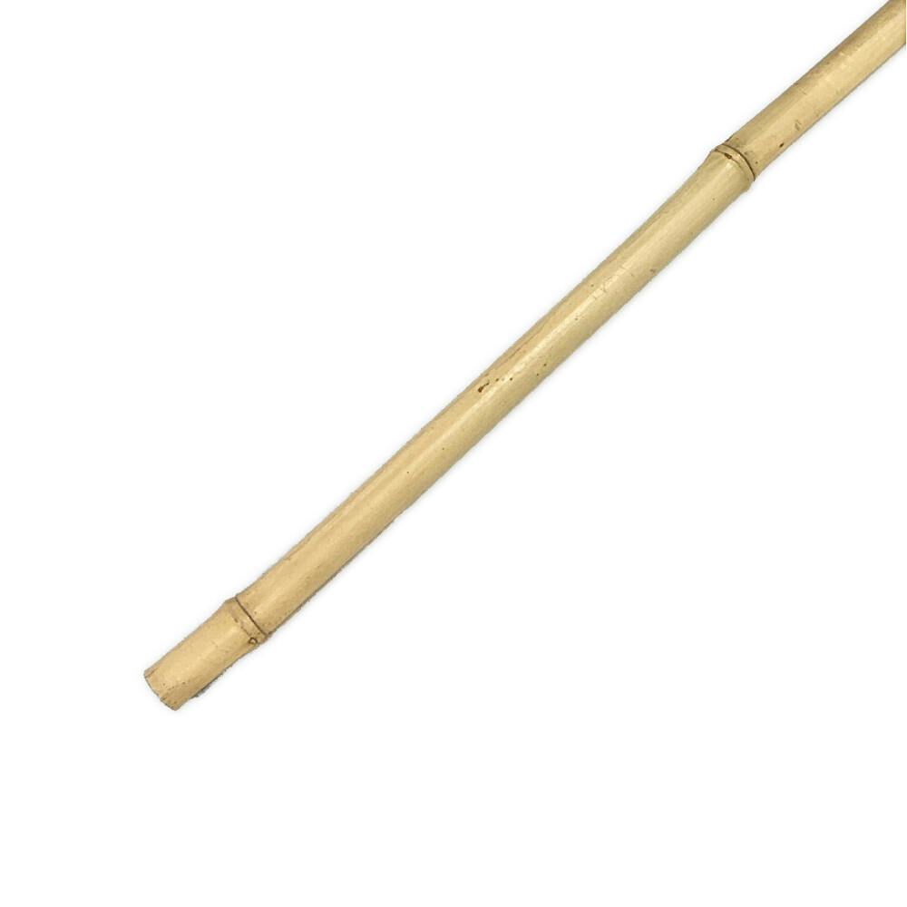 さらし竹 4M＜8分＞【SU】