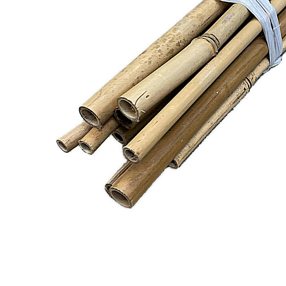 しの竹 2M＜5分＞ | 庭園資材 通販 | ホームセンターのカインズ