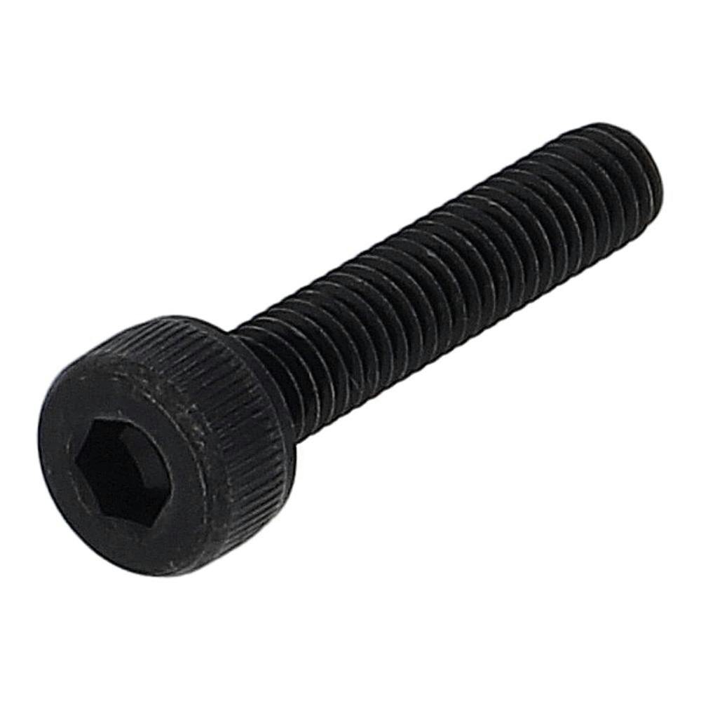 法螺貝 約37.0㎝ 木製歌口付　新品　 MH-415 法螺貝 約40㎝ 木製歌口 赤紐付 新品 MH-415 法螺貝 約40㎝