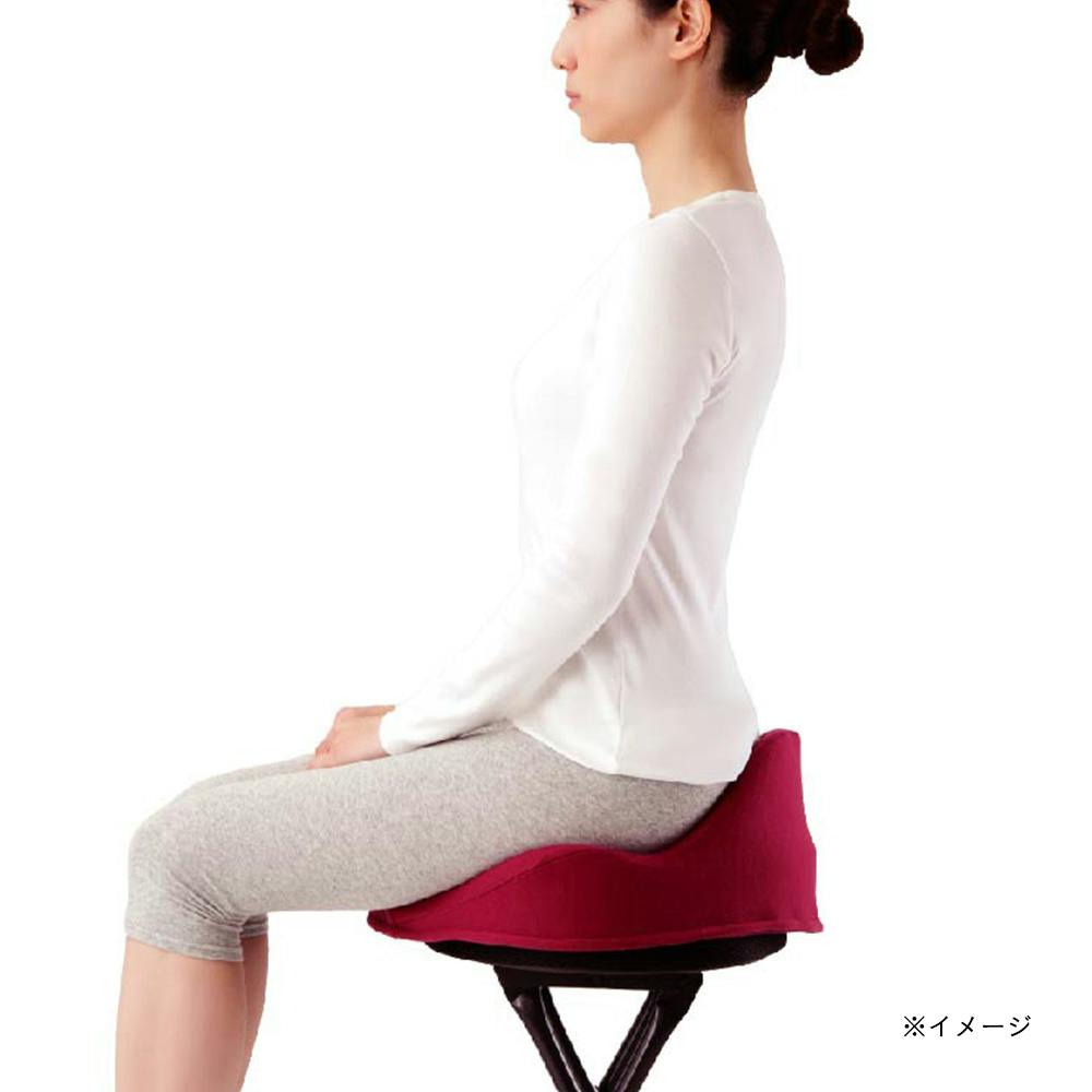 アルファックス 仙骨クッション 仙律 ネイビー | その他 トレーニング