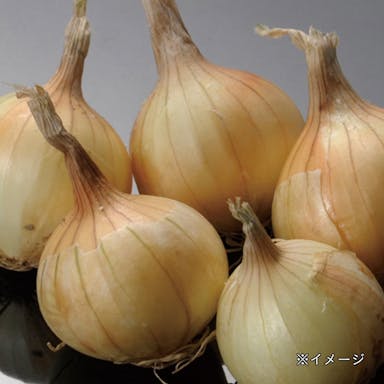 ホーム玉葱(プランター向け)(販売終了)
