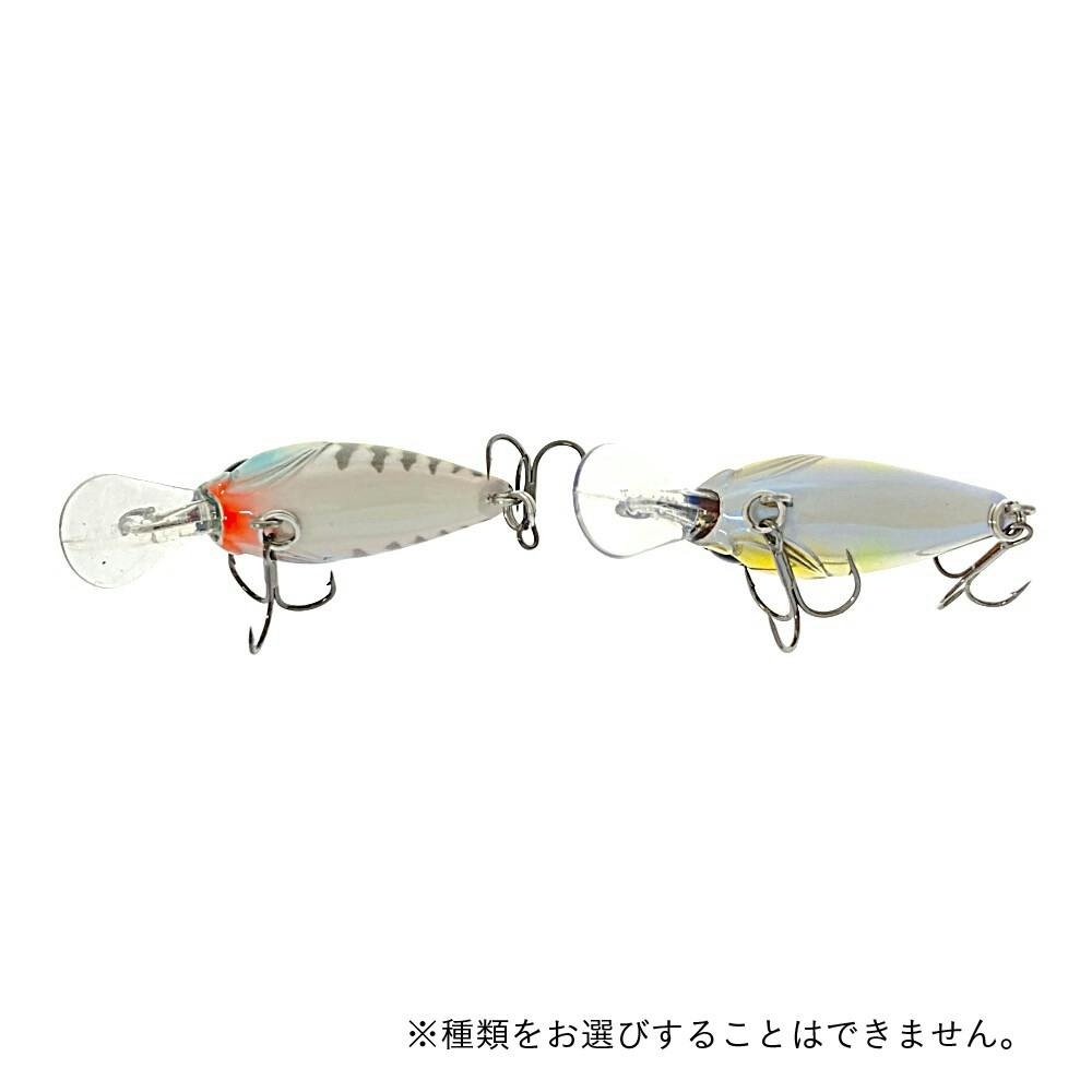 【送料無料】サウリブ シャース 有頂天ドンチャックドン 新品未使用品　8つセット 送料無料】サウリブ シャース 有頂天ドンチャックドン 新品未