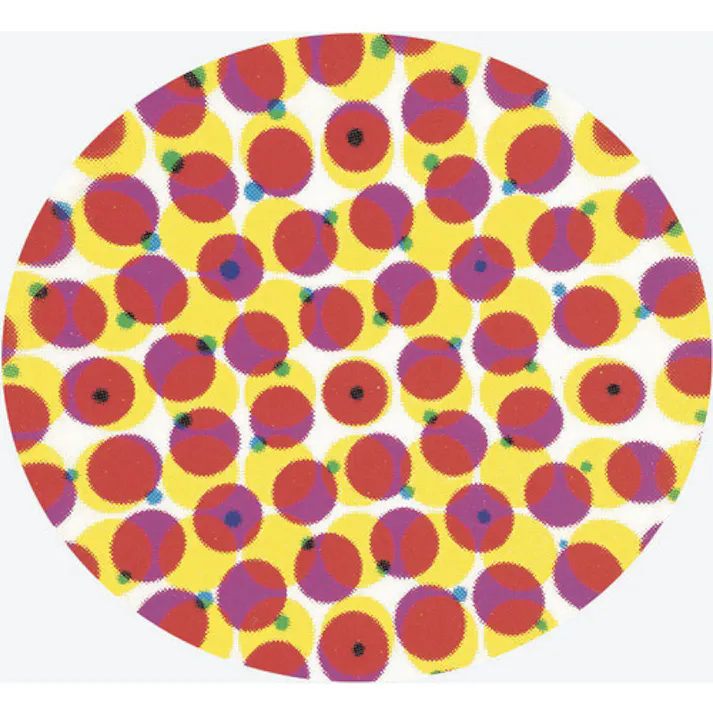 【CAINZ-DASH】京葉光器 ポケットマイクロスコープ 8040-25【別送品】