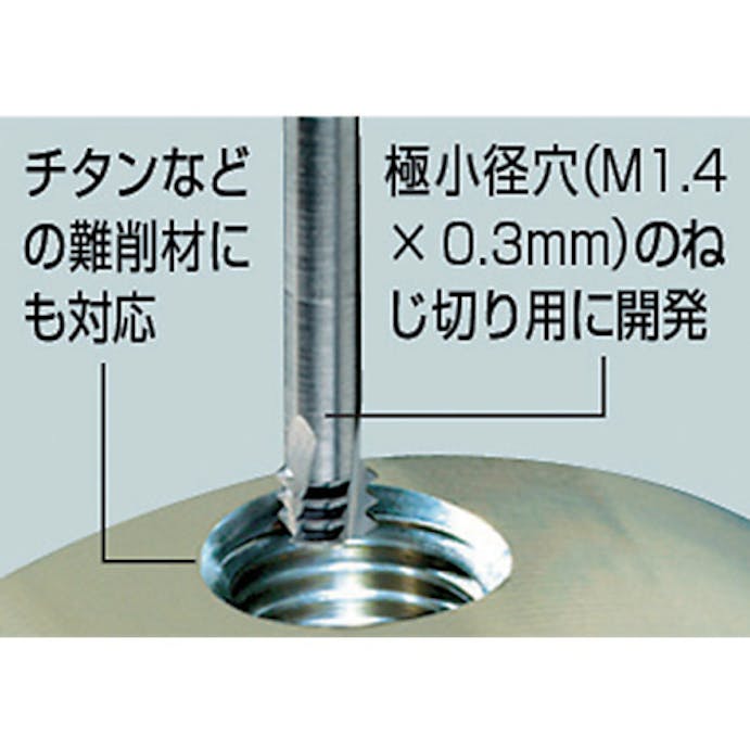 【CAINZ-DASH】カーメックス社 Ｃａｒｍｅｘ超硬ソリッドミニミルスレッド　シャンク径１０×Ｍ１２．０×１．７５×首下２６．０ M1009C26 1.75ISO【別送品】