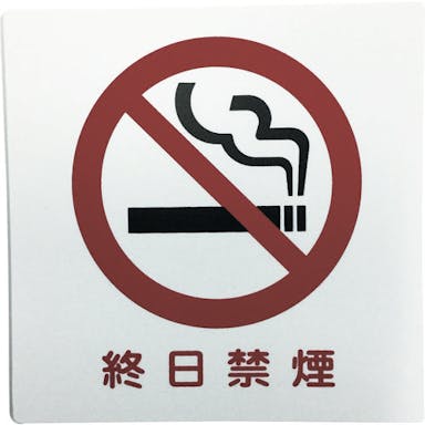 【CAINZ-DASH】光 アイテックプレート　終日禁煙 KP101-9【別送品】