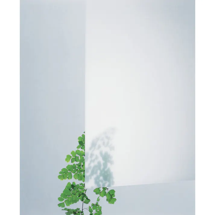 【CAINZ-DASH】光 アクリルキャスト板 乳白半透明 3×930×1860mm KAC9183-3【別送品】