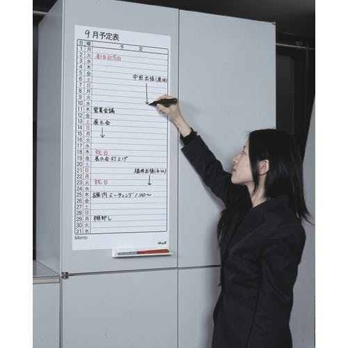 CAINZ-DASH】マグエックス マグネットスケジュールボードシート月間