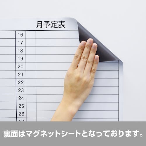 非売品 スケジュールボード CAINZ-DASH】マグエックス マグネットスケジュールボードシート