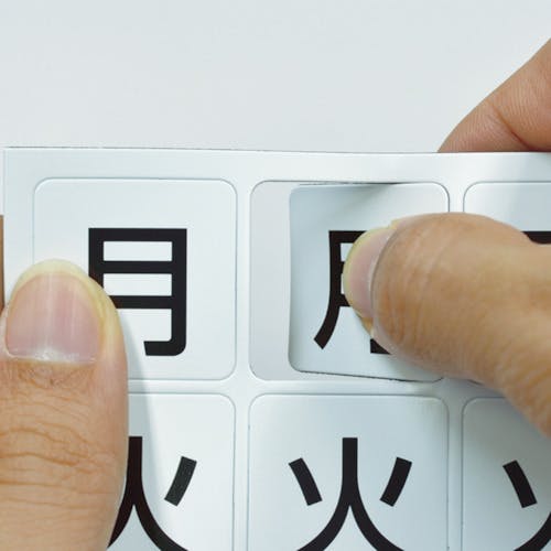 CAINZ-DASH】マグエックス マグネットウィークシート 曜日（中） MSW
