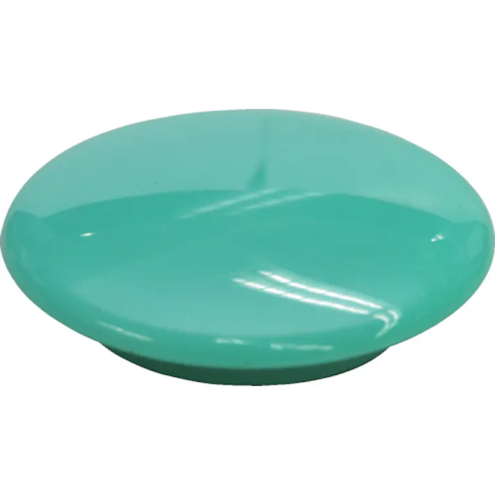 【CAINZ-DASH】マグエックス マグネットカラーボタン (4個入) MFCB-40-4P-G【別送品】