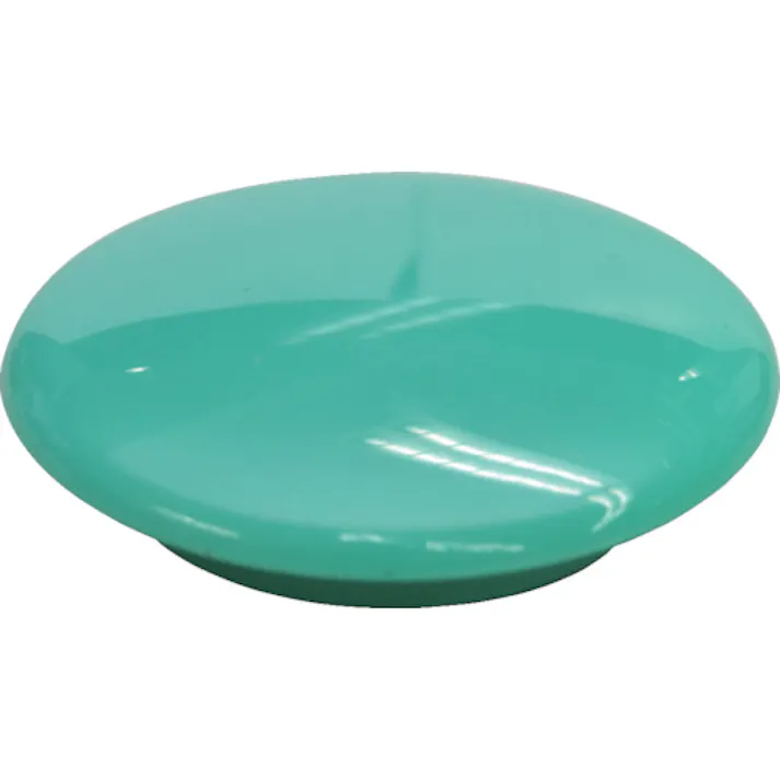 【CAINZ-DASH】マグエックス マグネットカラーボタン (5個入) MFCB-30-5P-G【別送品】