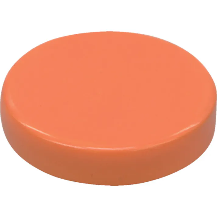 【CAINZ-DASH】マグエックス カラーマグネット橙2P MFCM-30-2P-O【別送品】