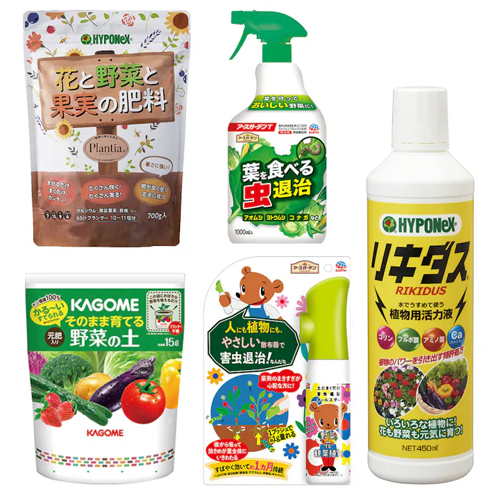 【オンライン限定】秋野菜栽培セット(販売終了)