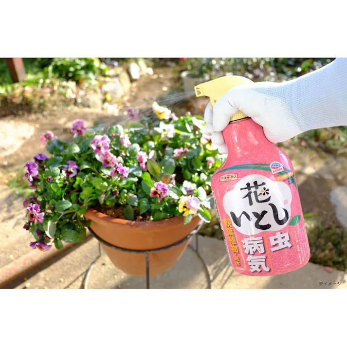 【オンライン限定】アジサイ栽培セット(販売終了)