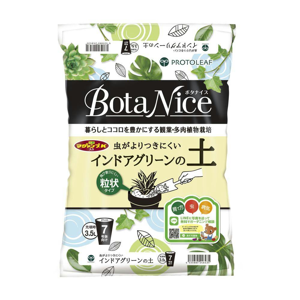 green plant☆様ご依頼用 地元のホームセンターで、このゼンジーZZプラントが放置されて