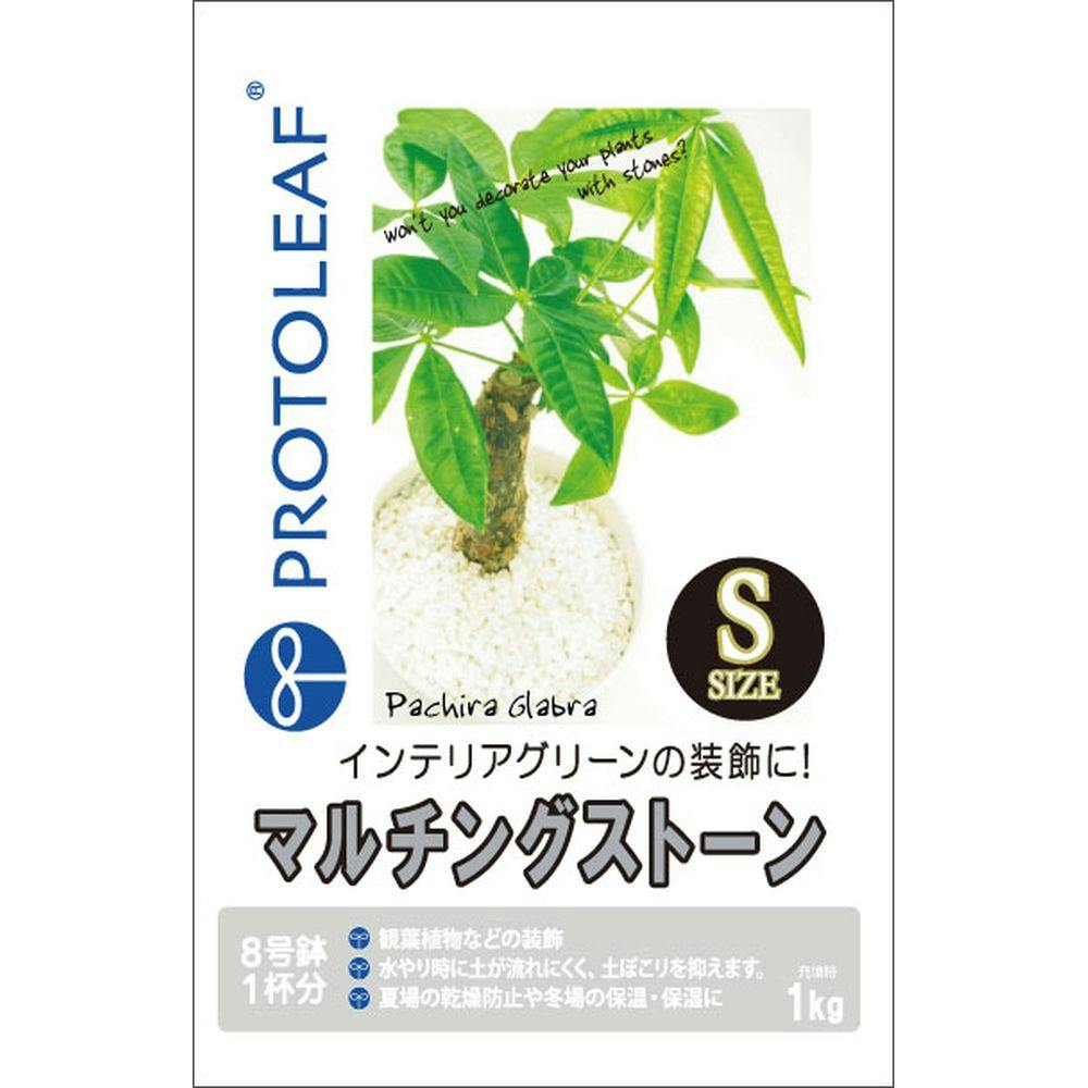 ぐんぐん玉 1㎏業務用増量タイプ観葉植物用です通常15,000円→