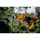 DEWALT 18V 剪定ばさみ