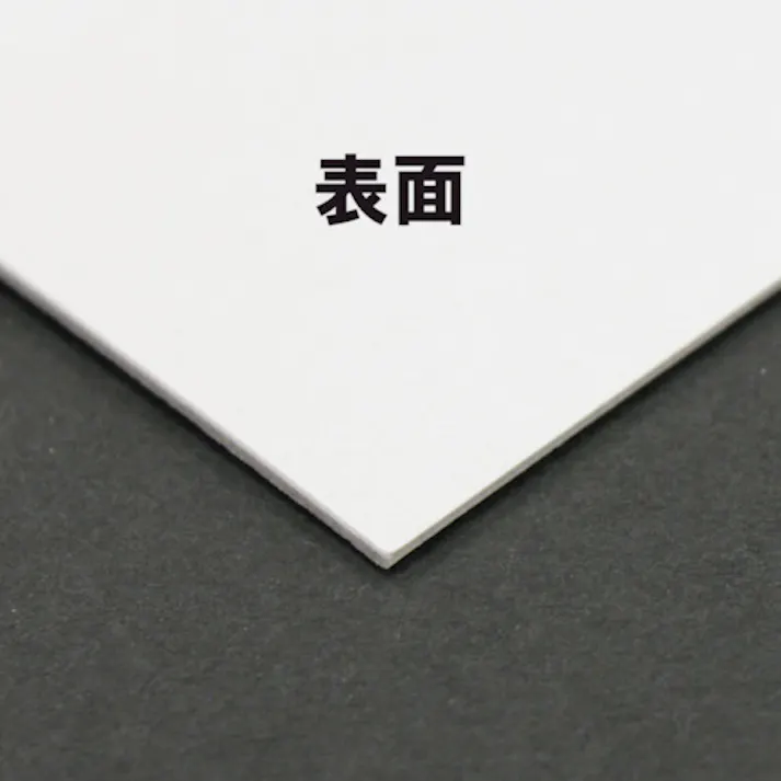 【CAINZ-DASH】キングコーポレーション エコボールA3判 303×424mm 100枚入 EBA3100【別送品】