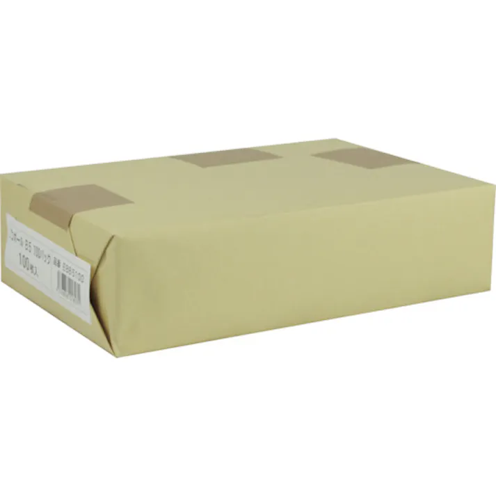 【CAINZ-DASH】キングコーポレーション エコボールB5判 182×257mm 100枚入 EBB5100【別送品】