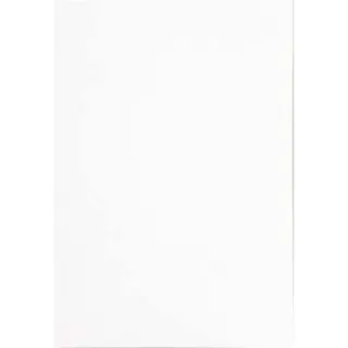 色画用紙 八切 雪 10枚