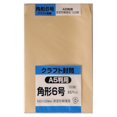 パック封筒 角形6号 クラフト 100枚