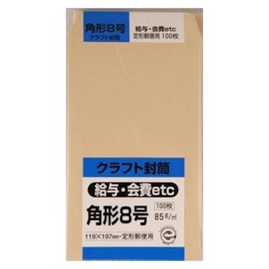 パック封筒 角形8号 クラフト 100枚