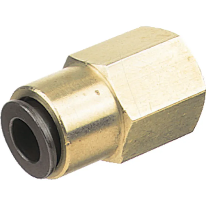 【CAINZ-DASH】千代田通商 フジフィメイルコネクター(金属) 10mm・R1/4 10-02F【別送品】