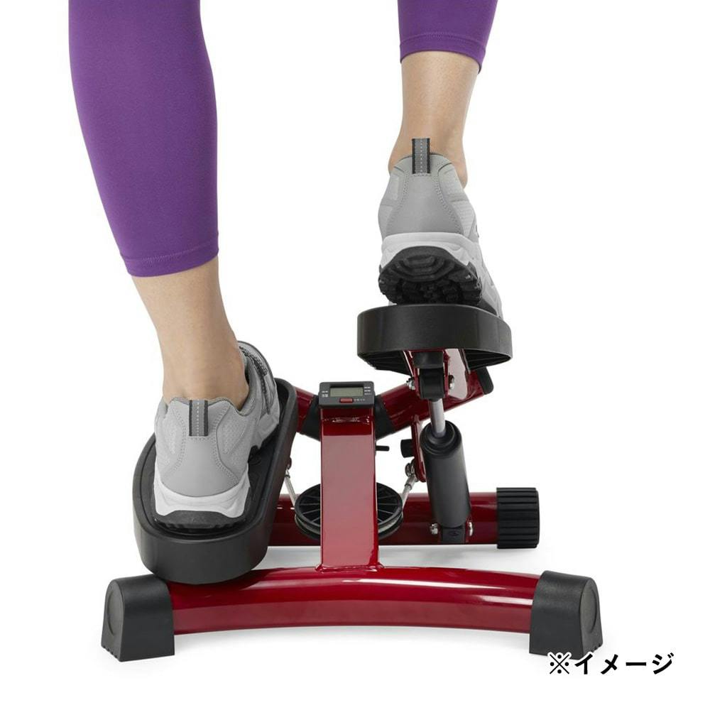 ショップジャパン 健康ステッパー ナイスデイ レッド NICE-WS3