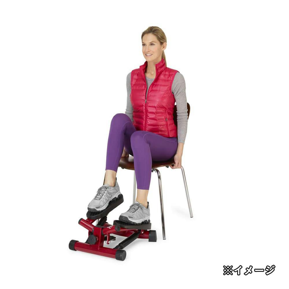 ショップジャパン 健康ステッパー ナイスデイプレミアム レッド