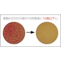 【CAINZ-DASH】日本メタルワークス 抗菌コップ K02700000860【別送品】